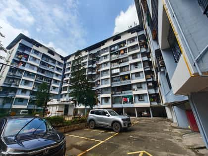 Surya Enclave CHS — Complex Exterior Makeover